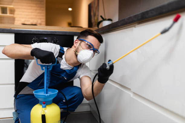 Best Best Pest Control Companies  in Haltom City, TX