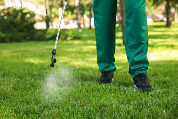 Best Pest Prevention Services  in Haltom City, TX