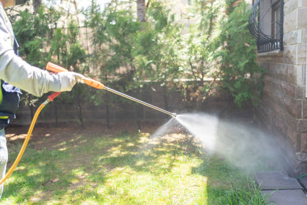 Best Flea Control Services  in Haltom City, TX
