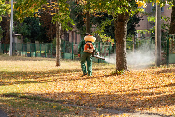 Best Mosquito Control Services  in Haltom City, TX