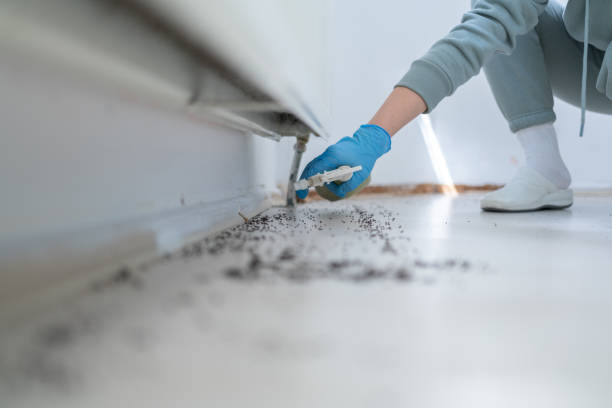 Reliable Haltom City, TX Pest Control Solutions